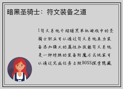 暗黑圣骑士：符文装备之道